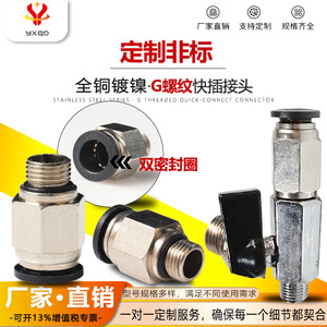 Connecteur rapide Yixing PC10 G02 à double joint d'étanchéité en laiton nickelé pour équipement de stockage d'énergie refroidi par liquide - Product Image 3