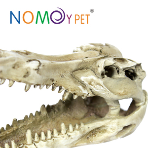 NOMOY PET Großhandel Harz Handwerk Terrarium Dekoration Landschaft künstliche Dinosaurier Schädel NS-60 - Product Image 3