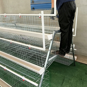 Jaula Automática para Pollos Tipo 3 de 5 Niveles y 90 Aves, 1950x2000x1500mm, Equipo Avícola Galvanizado - Product Image 3