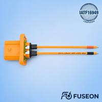 IATF16949 ISO9001 Certified High Voltage Wire Harness 600V XLPE Shielded for New Energy Vehicle OEM