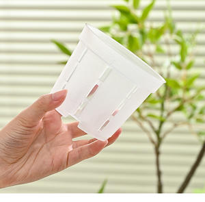 <span class=keywords><strong>Pot</strong></span> de fleurs <span class=keywords><strong>transparent</strong></span> P408 <span class=keywords><strong>pour</strong></span> orchidées Phalaenopsis (grande, moyenne, petite) avec contrôle de la racine, drainage visible et respirant - Product Image 6