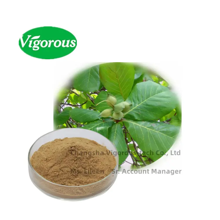 Bahan Kosmetik Pacific Almond Leaf Extract Java Almond 100% Natural Terminalia Ekstrak Daun Catappa