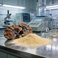Sérum capillaire à base de vésicules de Ganoderma de qualité cosmétique pour revitaliser les racines des cheveux