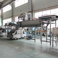 Nieuwe Automatische Roestvrijstalen Productielijn Fabriek Geprijsd Fruit En Groente Salade Sorteren Snijdroogmachine