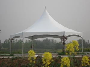 Tente chapiteau Domo Geodesico Geodome de 8 mètres de diamètre pour événements extérieurs pour café d'arrière-cour - Product Image 2