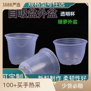 Maceta para Pothos con Absorción Automática de Agua, Maceta Transparente con Autorriego para Plantas Verdes de Escritorio - Product Image 5