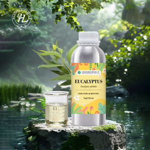Minyak esensial eukaliptus gusi biru organik untuk Diffuser - 100% penyulut uap putih alami murni | Harga grosir 1kg