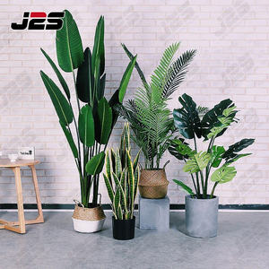 J2S Plante artificielle réaliste Asphodelaceae Barbados Aloe 53 feuilles Bonsaï Décoration de jardin d'intérieur Plantes en plastique Résistantes aux UV Réalistes - Product Image 1