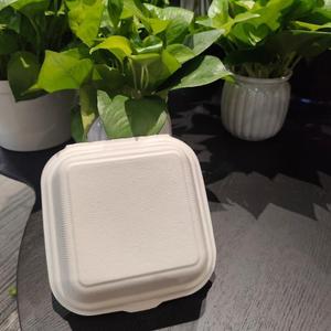 Caja para Hamburguesas de 6 Pulgadas, Contenedor de Bagazo Biodegradable, Caja Desechable para Llevar, Tipo Concha con Bisagras - Product Image 5