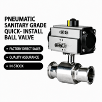 Vanne à boisseau sphérique pneumatique à installation rapide, en acier inoxydable 304, qualité sanitaire, type à collier, pour eau, gaz, huile Q681F, support personnalisé