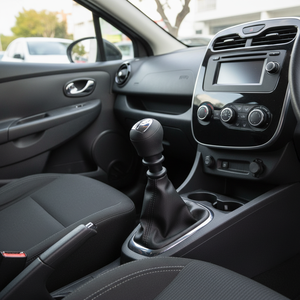 <b>Gear</b> Shift <b>Knob</b> for Renault Clio, Kangoo, Twingo, Dacia Logan - Product Image 3