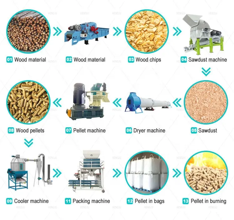 Mini machine à granulés de biomasse de bois Ligne de production pour la fabrication de granulés de bois