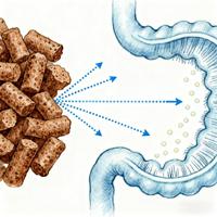 Poudre d'Aspergillus Oryzae à haute activité enzymatique, acides aminés de qualité alimentaire, additif alimentaire, 15 milliards/g de spores pour volailles et porcs