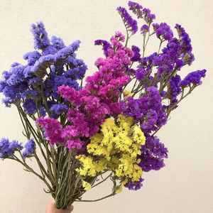 Ramo de Flores Decorativas de Myosotis Más Vendido al por Mayor, Flor de Estatice Seca y <span class=keywords><strong>Lavanda</strong></span> Marina - Product Image 6