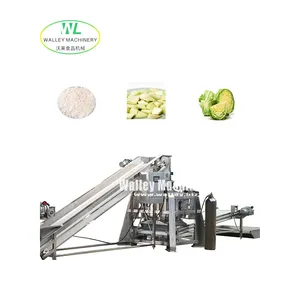工厂价格工业PLC ATS自动卷心菜离心脱水机排水蔬菜水果米木屑
