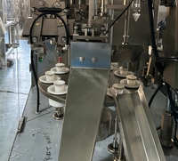 Machine automatique de remplissage et de scellage de tubes en plastique à air chaud avec imprimante de codage de date par lots