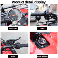 Véhicule tout-terrain de haute qualité, moto tout-terrain à quatre roues, 250CC, 2WD, 2x4, ATV automatique à transmission par chaîne, quad pour adultes