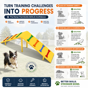 Rampa Comercial para <span class=keywords><strong>Mascotas</strong></span> de Venta Directa de Fábrica, Equipo de Entretenimiento al Aire Libre, Parque de Entrenamiento para Perros para el Patio Familiar - Product Image 2
