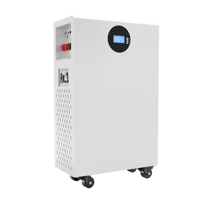 Batería LiFePO4 de Ciclo Profundo de 100 Ah y 5 kWh, 51.2 V, Montaje en Pared, BMS Integrado, 6000 Ciclos, Certificación CE, Energía de Respaldo, Almacenamiento de Energía Doméstica