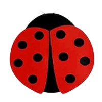 Meestverkochte fabrieksdirecte verkoop op maat gemaakte diverse maten gele kleverige plastic fruitvliegval insecten insectensticker lijmval