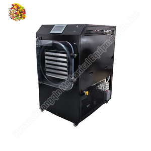 Machine de lyophilisation de fruits lyophilisateur 6 plateaux pour aliments - Product Image 6