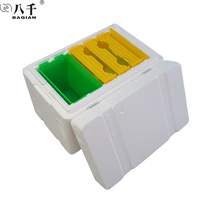 Mini ruche en plastique pour apiculteur, équipement apiculture en polystyrène, boîte EPS Queen Nuc, accouplement d'abeille, ruche en plastique, Offre Spéciale