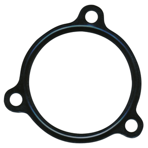 Guarnizione, Alloggiamento Termostato Adatto per Termostati IVECO 24790.30 - Product Image 1