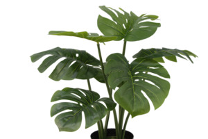 Phong Cách Bắc Âu 67Cm Monstera Cây Nhân Tạo Thiết Kế Mới Cao Mô Phỏng <span class=keywords><strong>Bonsai</strong></span> Bất Cảm Ứng 7 Lá Nhựa Trang Trí Nhân Tạo - Product Image 3