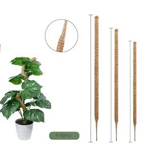 Support pour Plante Monstera en Fibre de Coco Biodégradable avec Trou de Drainage – Écologique, pour Usage Intérieur/Extérieur, Décoration Minimaliste - Product Image 1