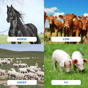 वजन पैमाने पर सूअर भेड़ गाय पशु पशुधन पैमाने पर औद्योगिक तल - Product Image 6