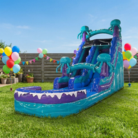 Tobogán Acuático Inflable Comercial DolphinToboggan para el Verano, Tobogán Acuático Inflable con Diseño de Palmera de 18 OZ