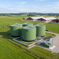 Réacteur anaérobie automatique à biogaz Schumann Tank Animal Farm Food Waste 6000m 316L en acier inoxydable