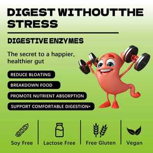 Complejo de Enzimas Digestivas con Lipasa, Amilasa, Bromelina y Celulasa, Favorece una Digestión Saludable y <span class=keywords><strong>la</strong></span> Absorción de Nutrientes - Product Image 3
