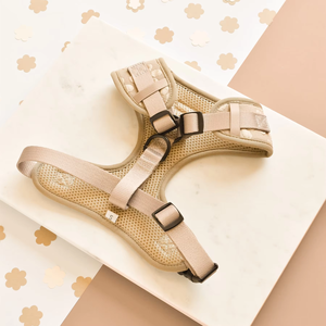 OEM カスタム パーソナライズ ペット用 ドッグハーネス ファッション エコフレンドリー ドッグハーネス＆リードセット 快適で通気性に優れた犬用ハーネスセット - Product Image 2