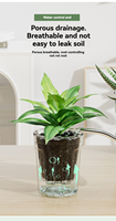 Pot bunga self-absorbing tanpa perlu penyiraman, transparan, kontrol akar, resin, pot hidroponik, pot tanaman hijau, gaya minimalis