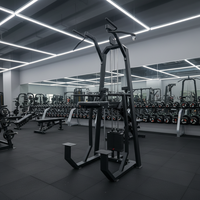 Tour de musculation multifonctionnelle professionnelle avec barre de traction et station de dips pour entraînement de force