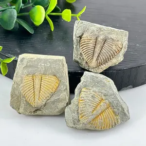 Vente en gros de pierre fossile naturelle de haute qualité sculptée à la main sculptures en cristal animaux pierre fossile pour la décoration de la maison