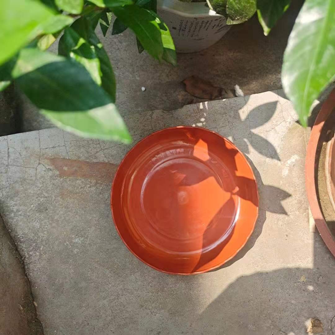 Rouge ondulé