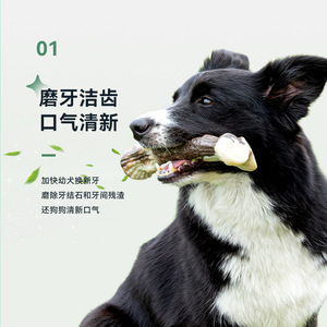 Juguete Masticable de Nylon Eetoxs con Forma de Asta de Ciervo, Tamaño Mediano, Duradero, para Perros, con Forma de Hueso Simulado para Mascotas - Product Image 4