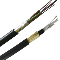 Kabel Serat Optik Single Mode G.652D untuk Saluran Bawah Tanah Luar Ruangan, Jaket GYTA PE/MDPE/HDPE, Bersertifikasi CE, Hitam, 2-288 Core Terlilit