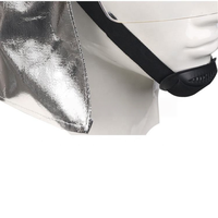 Casque de pompier F1 certifié US, fiable, pour la prévention quotidienne des incendies et la protection