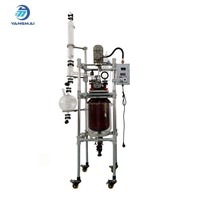 Réacteur en verre antidéflagrant à double enveloppe de 20 L avec protection lumineuse et réservoir sous pression pour la synthèse chimique