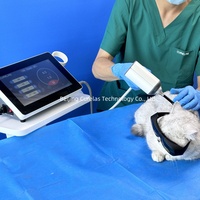 Appareil de thérapie laser vétérinaire haute puissance 30W pour la rééducation des animaux de compagnie