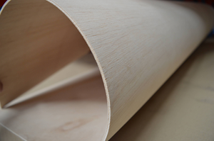 Madera contrachapada doblada flexible de <span class=keywords><strong>Paulownia</strong></span>, madera contrachapada flexible para muebles de sillas de madera - Product Image 2