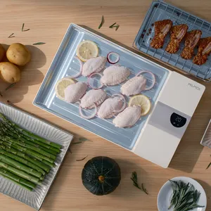 Heimküche Restaurant smart touch-design gefrorenes Huhn Meeresfrüchte Fischfutter Steak Fleisch Rindfleisch schnelles Auftauen