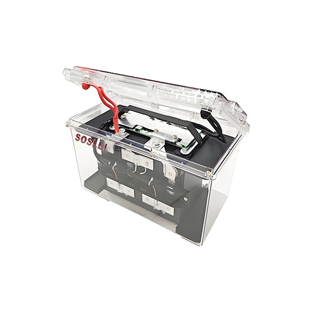 SOSLLI Solid State LiFePO4 12V 100Ah-300Ah Deep Cycle Rechargeable Battery Pack Solar Power Backup for Electric Vehicles