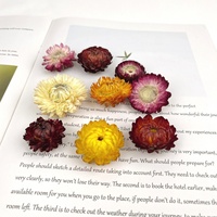 Fleurs de Helichrysum séchées naturelles multicolores en gros pour matériaux de bricolage, décoration de mariage, maison, fête et festival