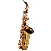 Alto Saxophone Popular Grade Classic Structure Gold Lacquer RSA-X3 Alto Saxophone