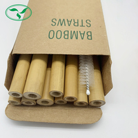 Pailles à boire biodégradables en bambou avec boîte en Kraft, 10 pièces