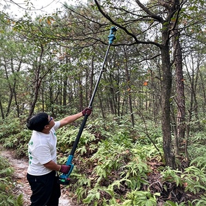 Factory OEM 20V Brushless Cordless Pole Saw Extendable Lithium Battery <b>Mini</b> <b>Chainsaw</b> for Garden Fruit Tree Pruning CE Certified - Product Image 6